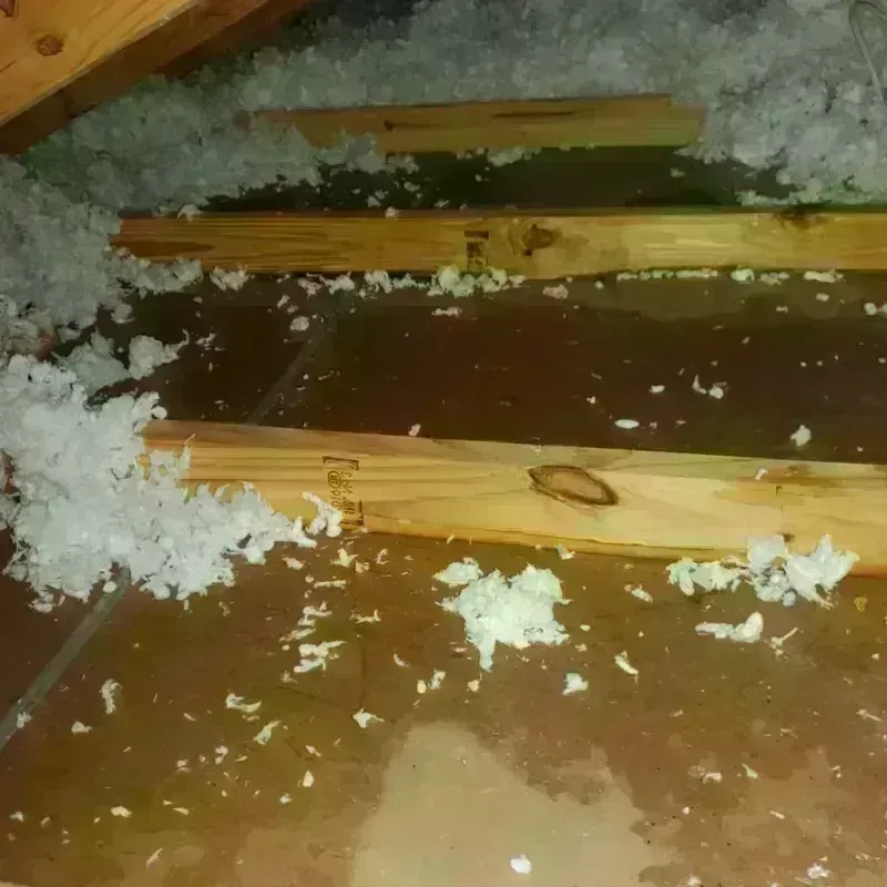 Attic Water Damage in San Francisco, CA