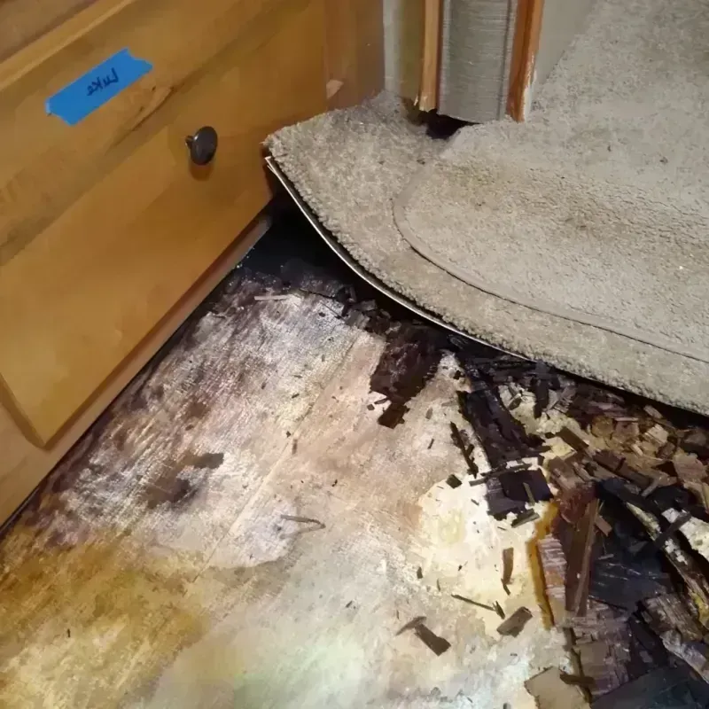 Wood Floor Water Damage in San Francisco, CA